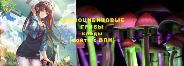 стафф Алексеевка