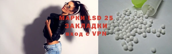 амф Алзамай