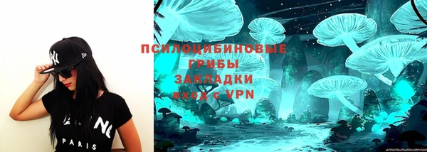 стафф Алексеевка